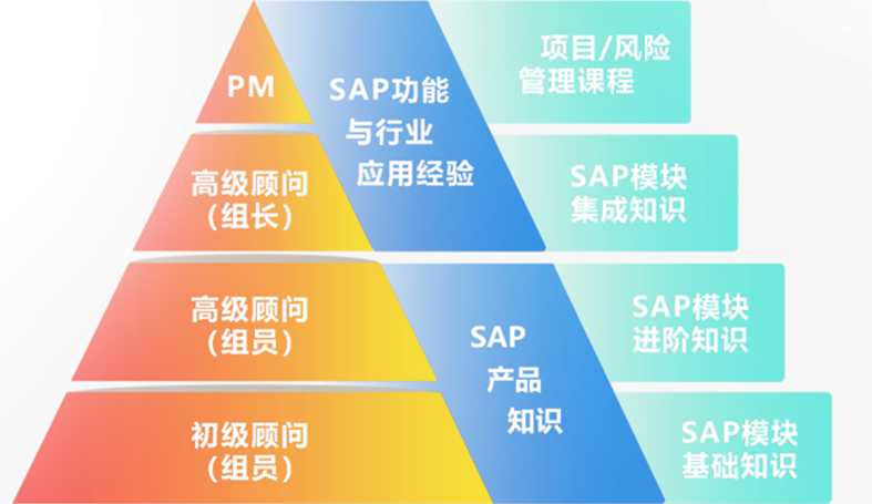 人才梯队